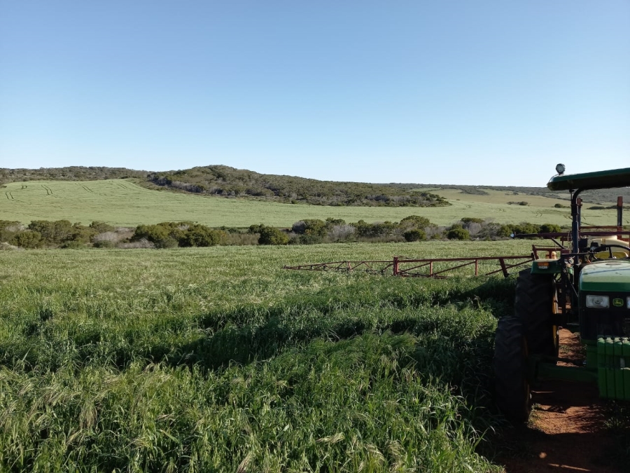  Bedroom Property for Sale in Riversdale Rural Western Cape